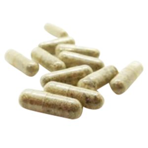 Loose magic mushroom microdose capsules on white background